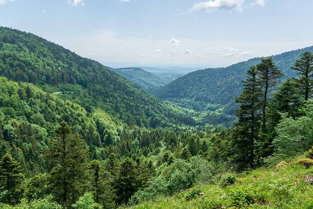 Le Ballon des Vosges